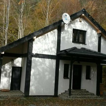 Cabana Crenguta Sibiu Exterior photo