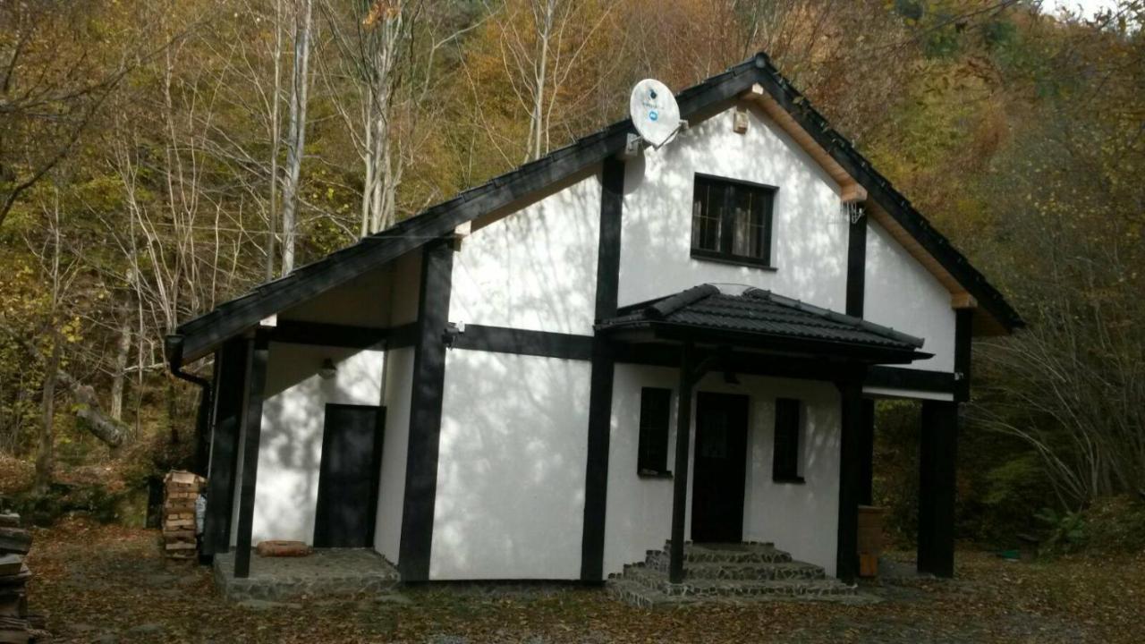 Cabana Crenguta Sibiu Exterior photo